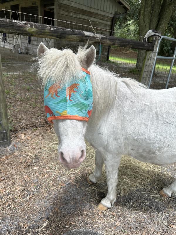 Moonbeam has dinosaurs!