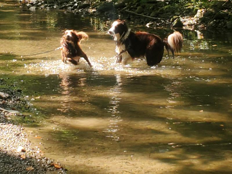 Then need lots of good food!