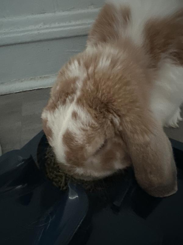 He seems enjoying the new brand