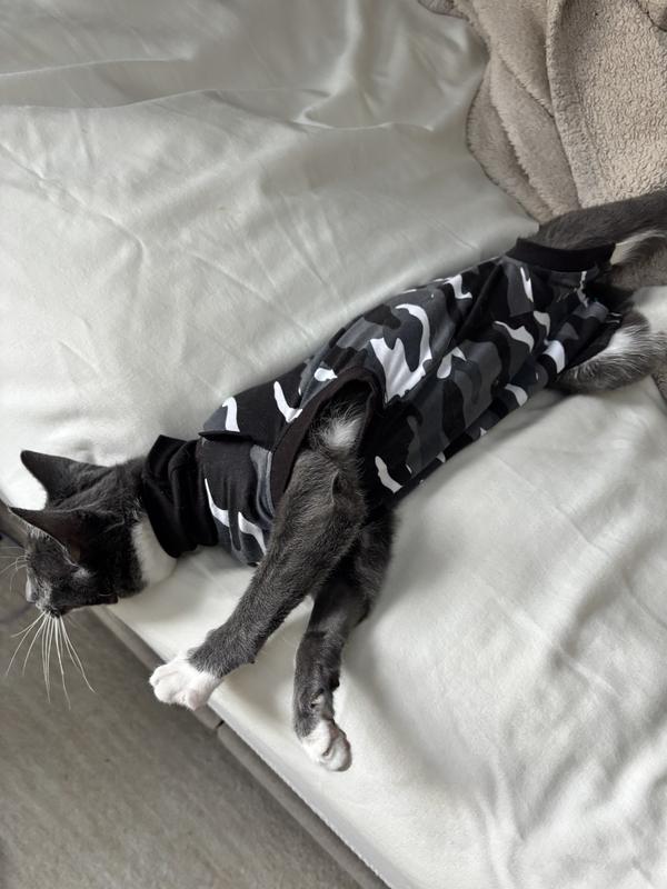 Great fit and quality