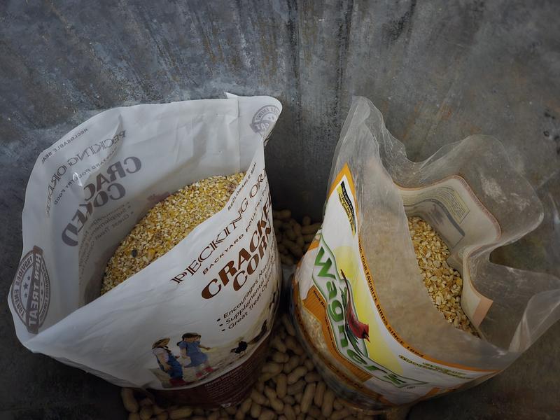 Cracked corn and peanuts protected by steel!