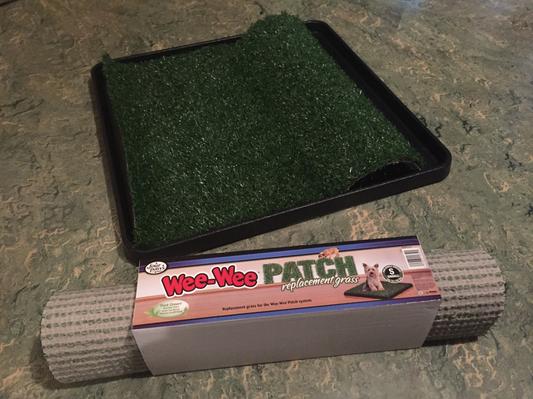 Wee wee patch outlet replacement grass