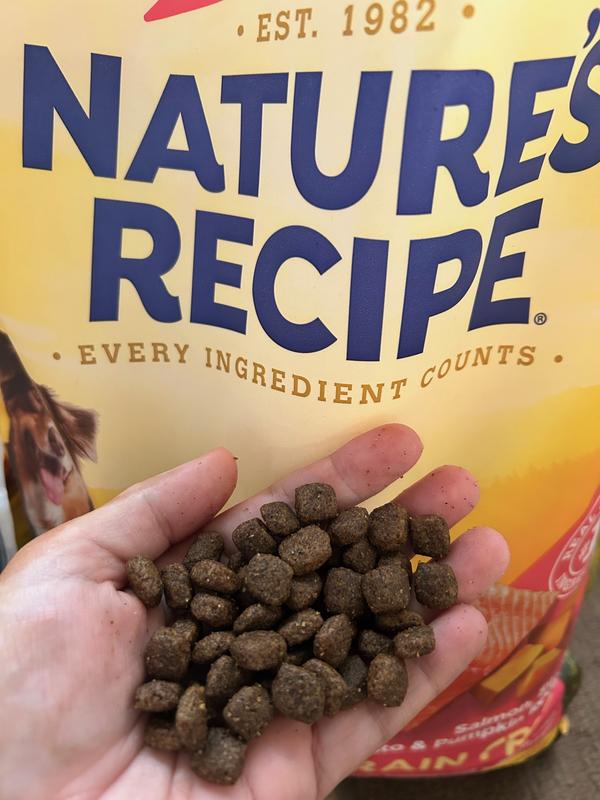 NATURE S RECIPE Grain Free Salmon Sweet Potato Pumpkin Recipe Dry Dog Food reviews Chewy