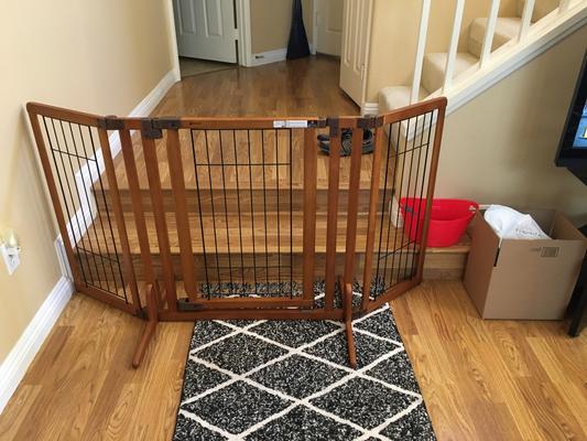 Richell gate with door