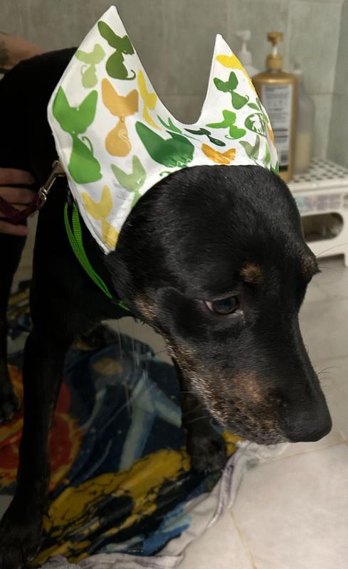 Clementine showing off her shower cap style