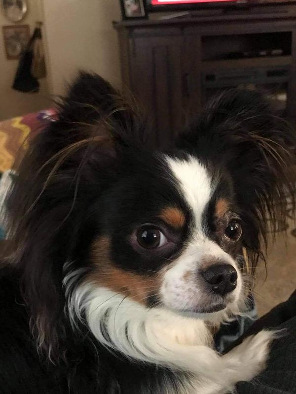 Thank you mom for the pads