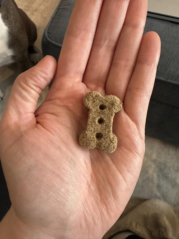 Size of biscuit compared to my hand