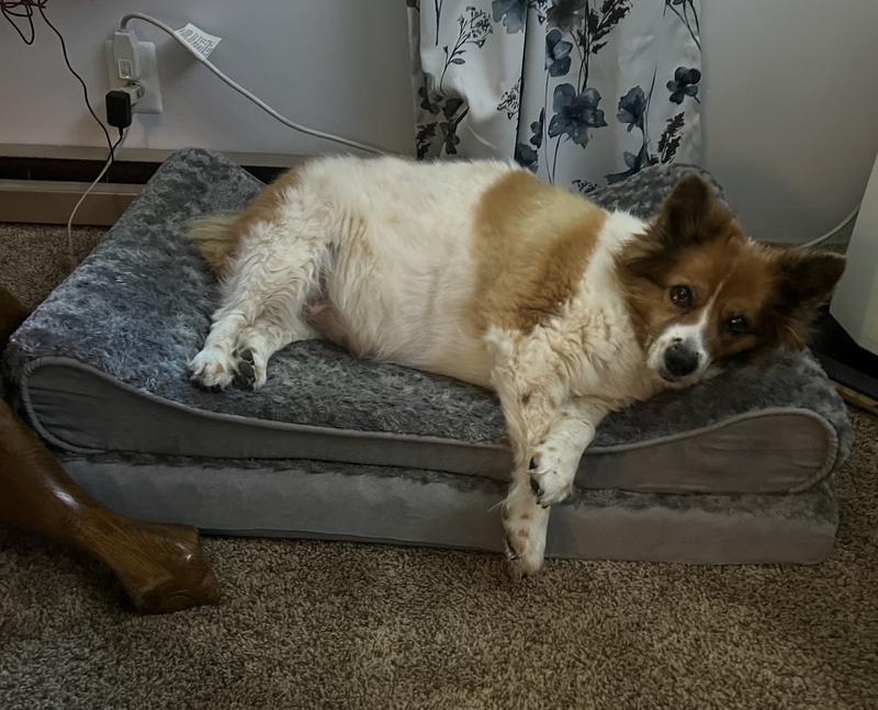 Our Princess Pixie Snow