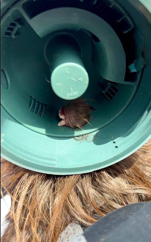 DO NOT BUY!!!! Warning