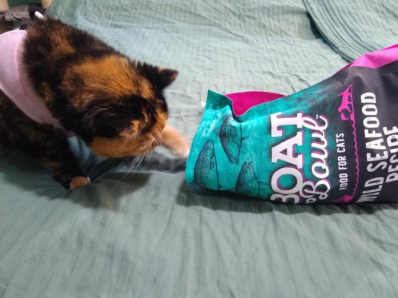 Spare, fishing for yummy food