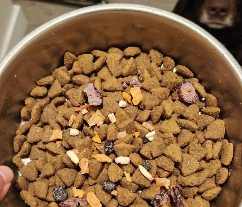 Immune support bowl booster on top of Murphy's food