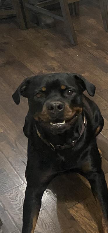 Happy girl!