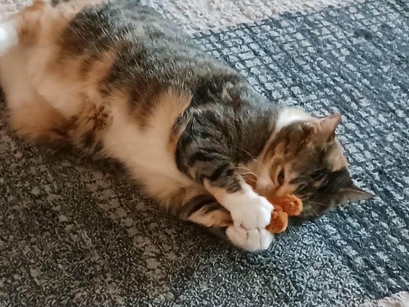 KONG Refillable Squirrel Catnip Cat Toy