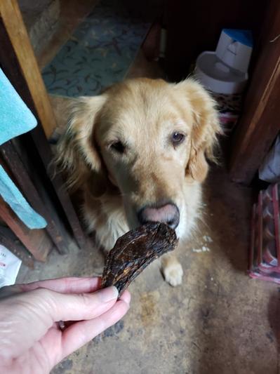 Pawluxury shop turkey jerky