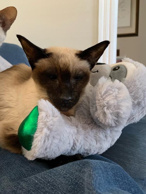 Our beautiful Hana Jane.