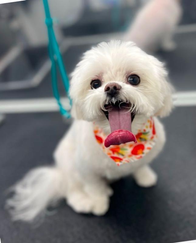 Stomach problems gone!