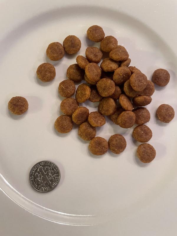 Chf hotsell dog food