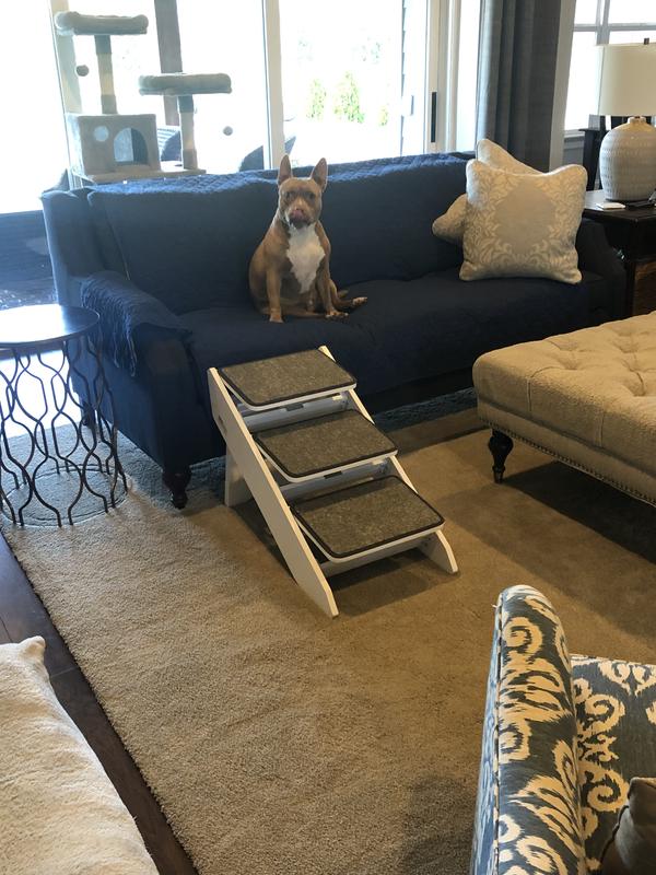 PETSAFE CozyUp Dog & Cat Steps & Ramp