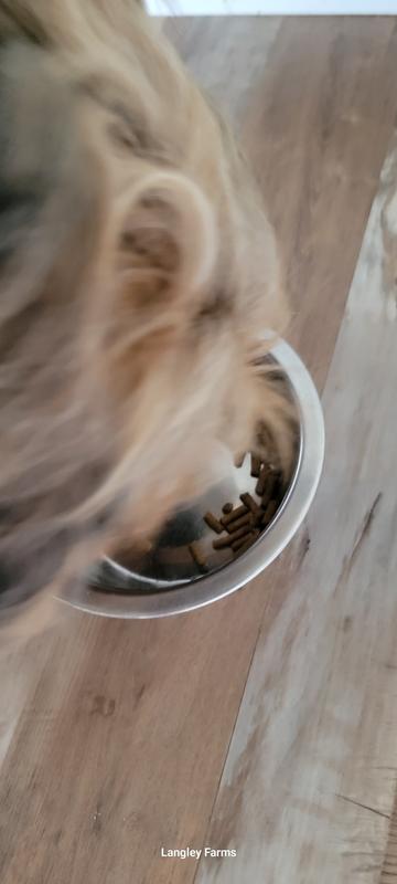 He scarfed it down, fast.