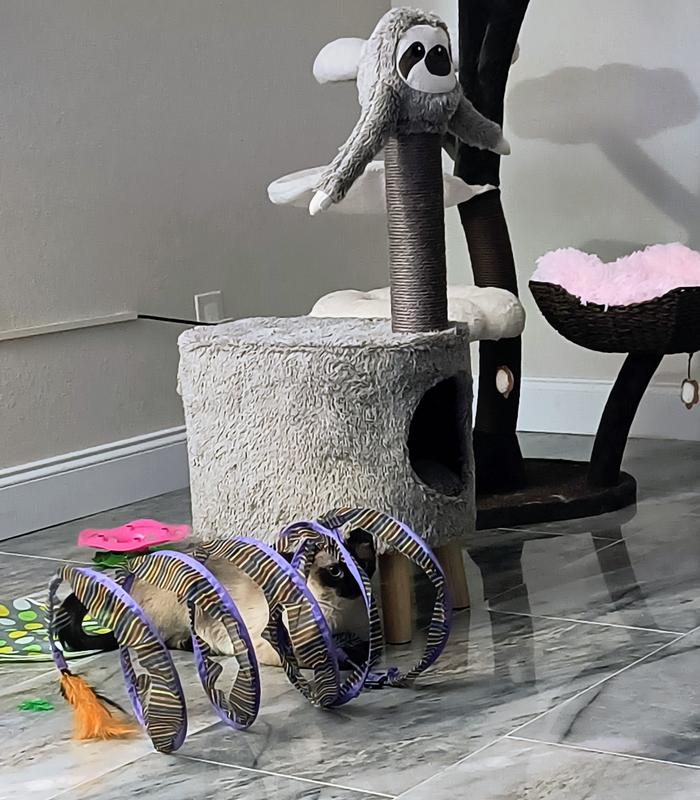 Esme discovers the cloak of invisibility