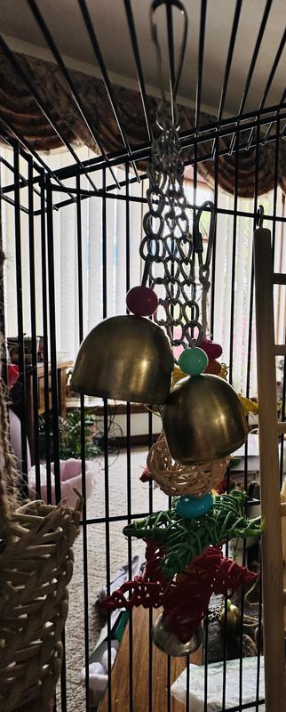 JW Activitoy Ring Für Vögel – Transparent Mit Glocke & Perlen – Sitzring & Spielzeug Für Wellensittiche, Kanarienvögel
