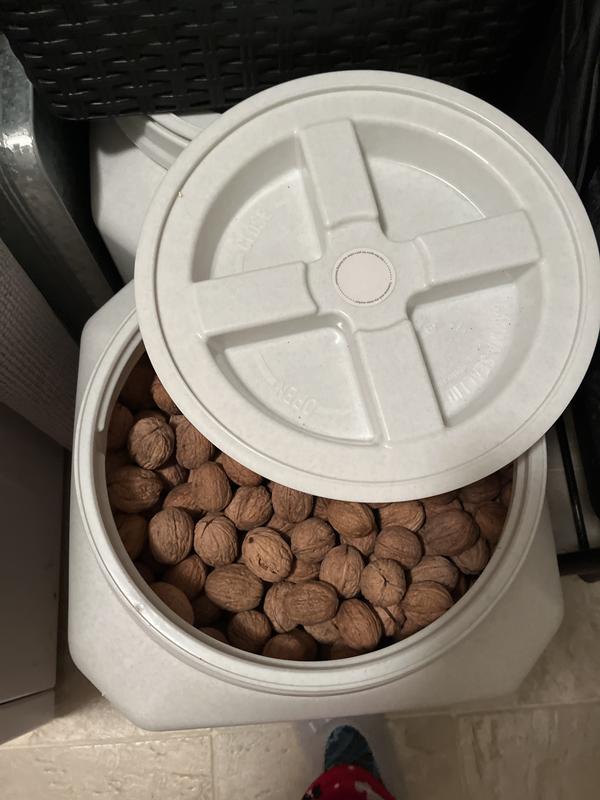 Dog Food Container Picks: 9 for Perfect Storage - Vetstreet