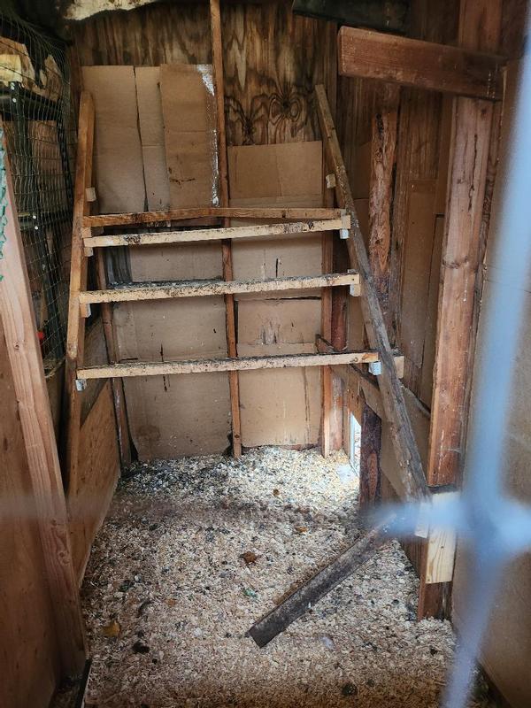 Before with all the poop