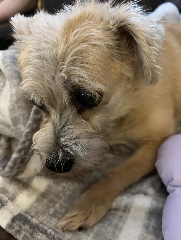 No difference around my mom's dog's eyes after use.