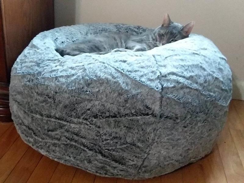 FRISCO Plush Pouf Cat & Dog Bed, Large 