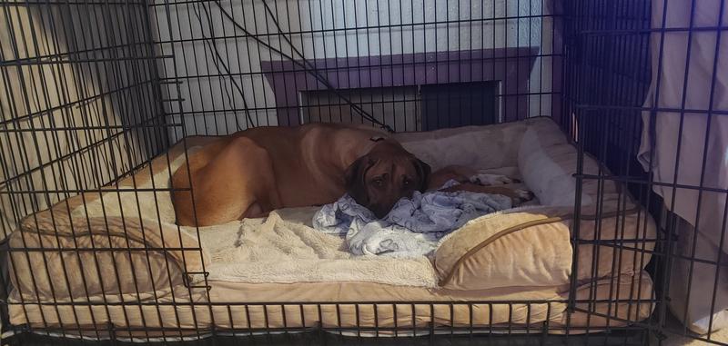 In his happy place...