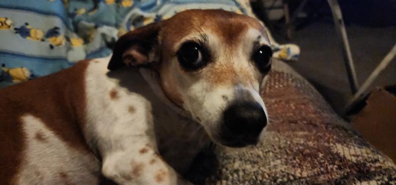 Dottie Girl, the Woman in Charge