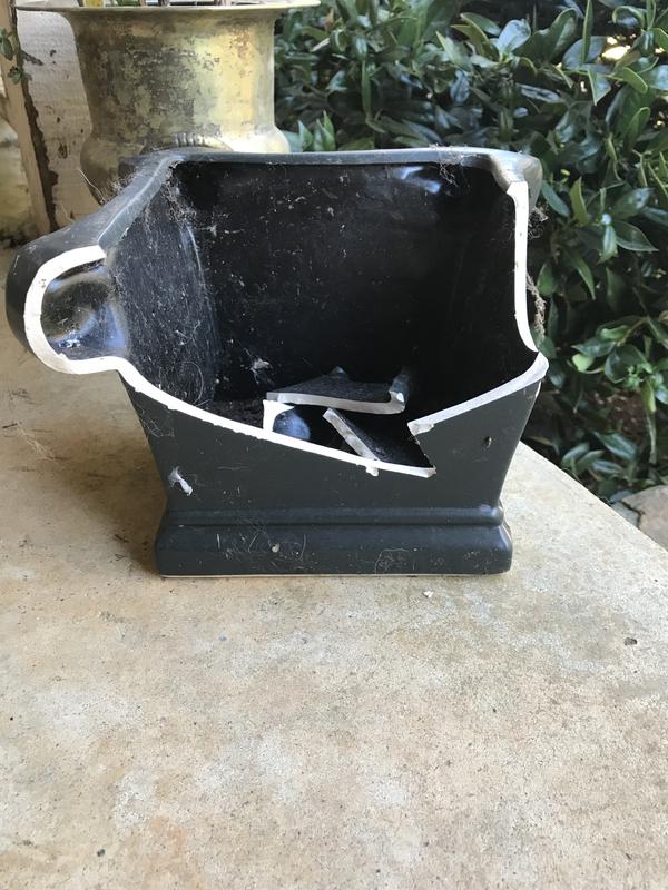 I had to pick this up out of our bushes to take this photo