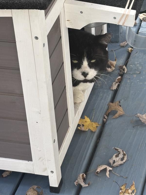 One has claimed it. 😁