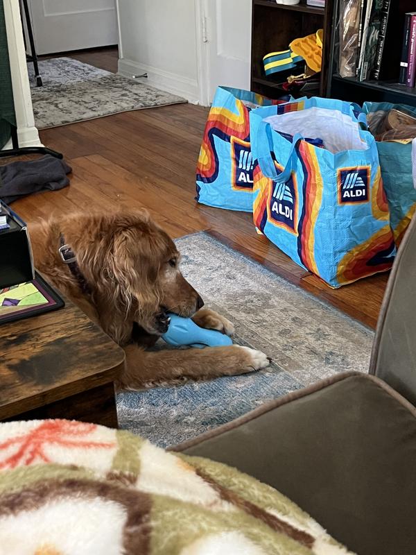 Don’t have any good pics of it, but she will put almost this WHOLE toy in her mouth to chew. Still hardly a dent!