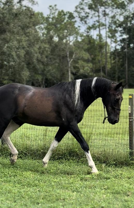 8 months after use. 28 years old.