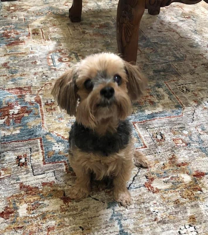 Grooming almost done.