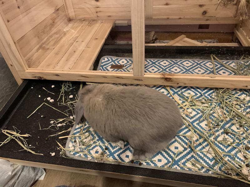 He Supervises cleaning.