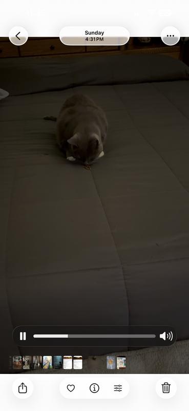 Yum.  Doodles loves this food.