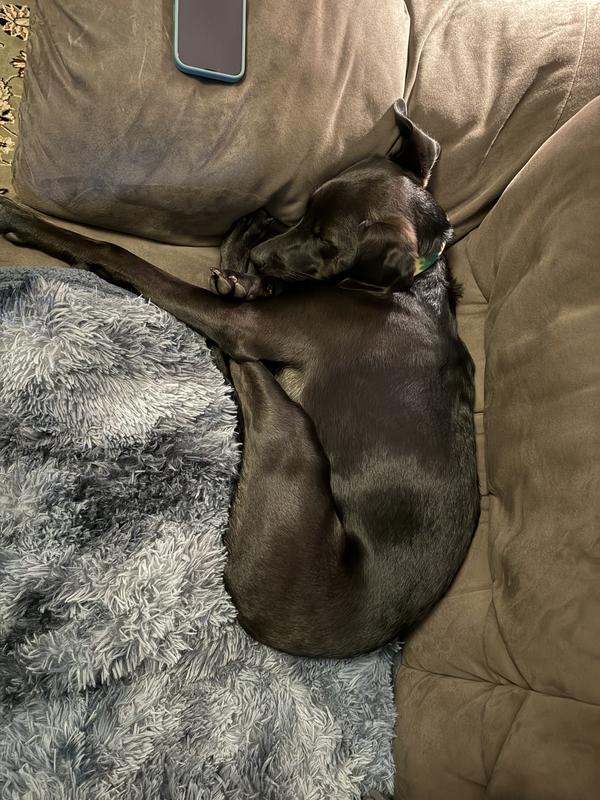 All snuggled up 😊