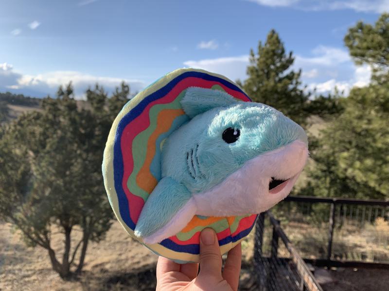 Frisco Summer Shark plush toy