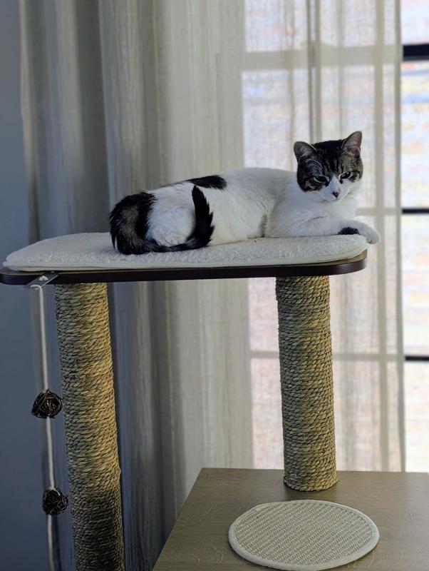 Lounging after tetherball.