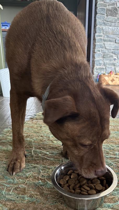 Raleigh enjoyed his Farmstead Feast