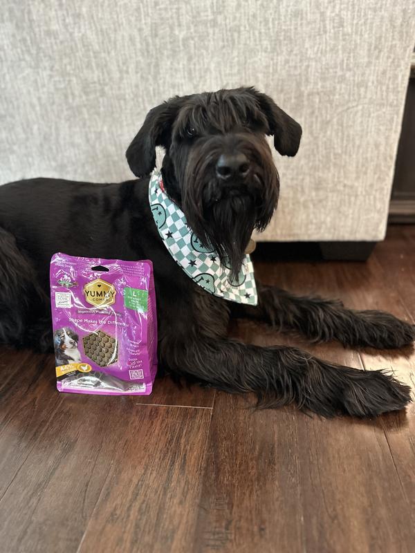 Ivy & her yummy combs