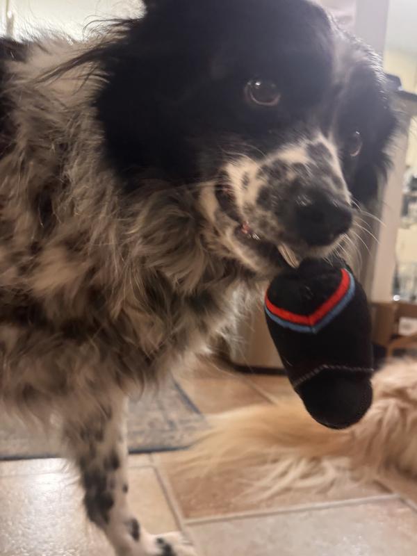 All 3 of our dogs got in on the slap shots with this fun & interactive toy! Wendy Peffercorn wanted to fetch the whole rink!