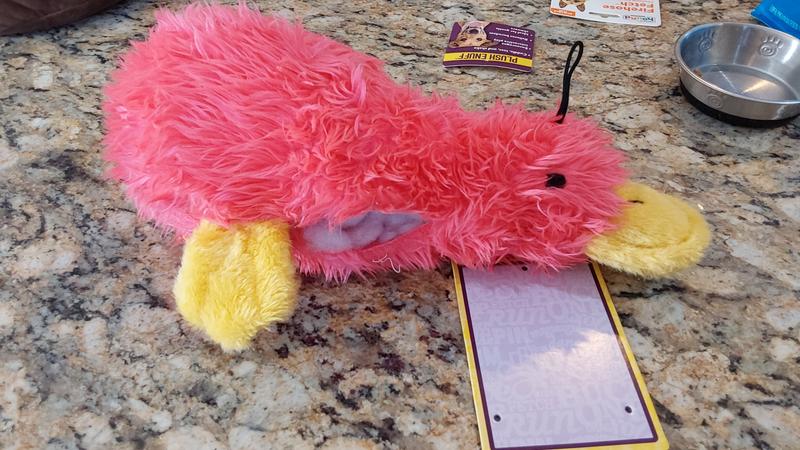 Multipet Duckworth Dog Toy Review: Why I'm ~Pup-Sessed~