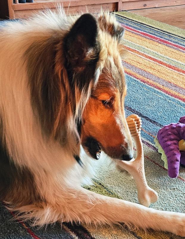 Johnny Cash's Favorite Bone