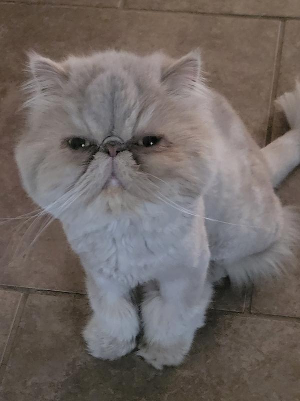 The new guy in question