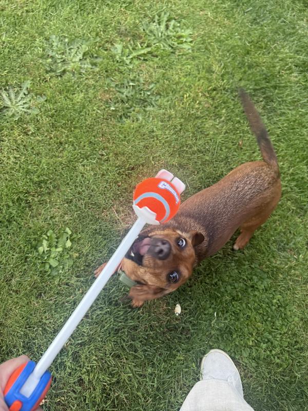 Ready to play!