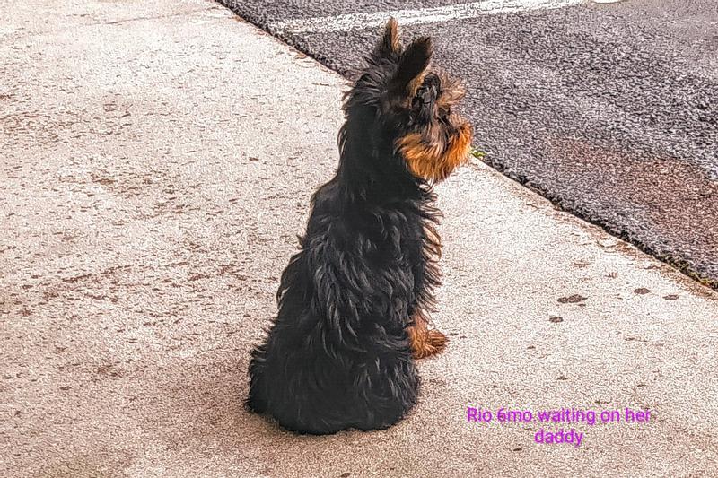 Waiting for my Daddy