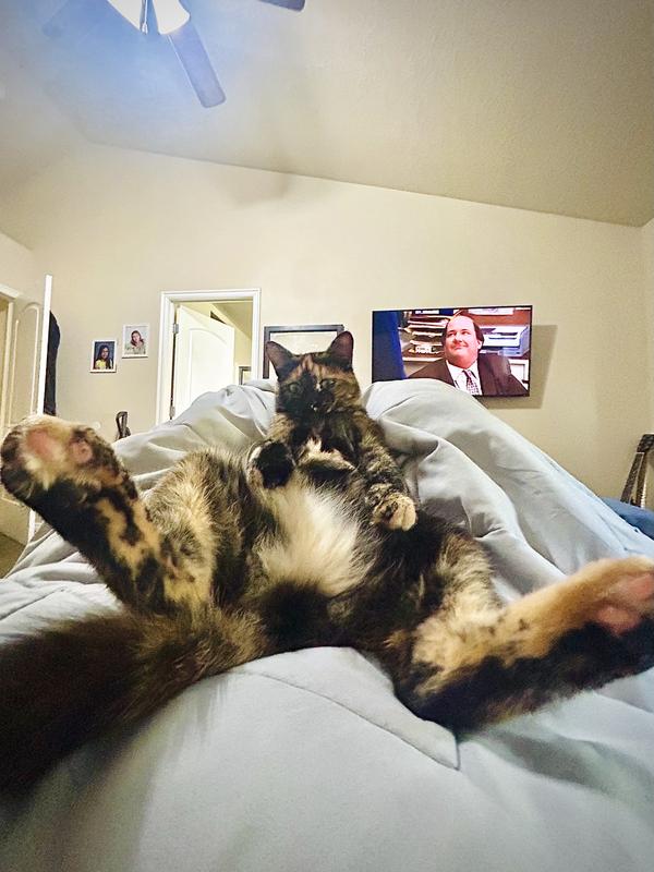 Ms. Mary Anne....the weirdo